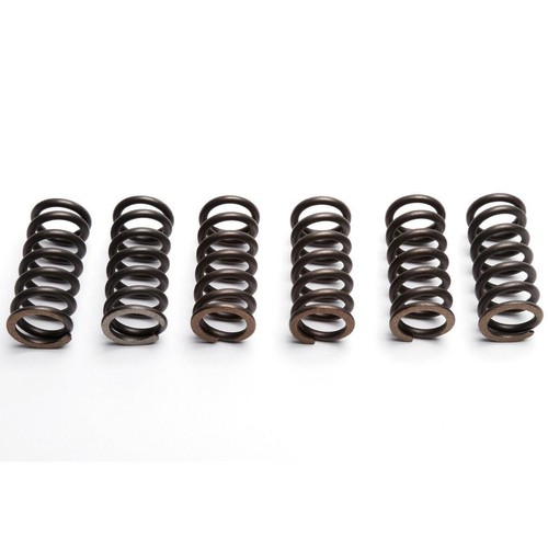 Ebc clutch spring - set, (6